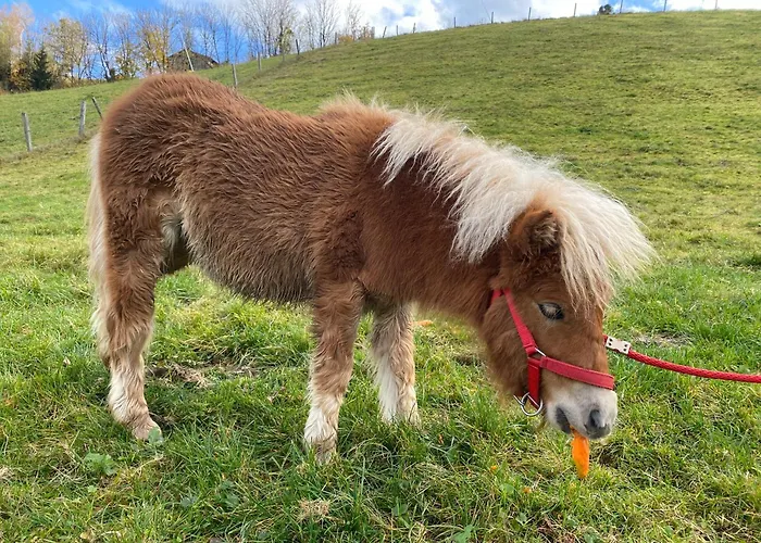 Hotel nahe College: Hotel Starchlhof
